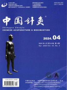 中国针灸杂志